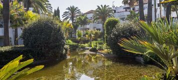Penthouse de luxe à Ventura del Mar