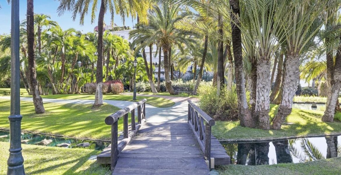 Appartement à louer à Playa del Duque