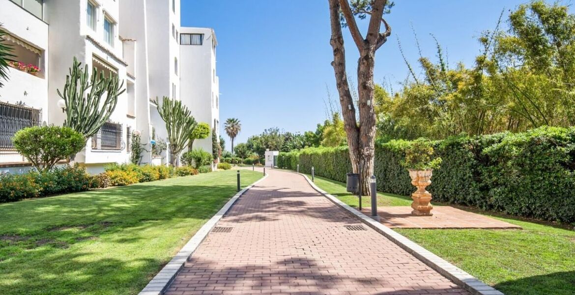 Apartamento en alquiler en Puerto Banús