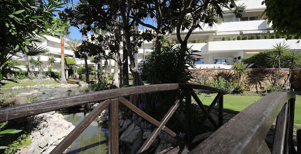 Apartment for rent in Los Granados