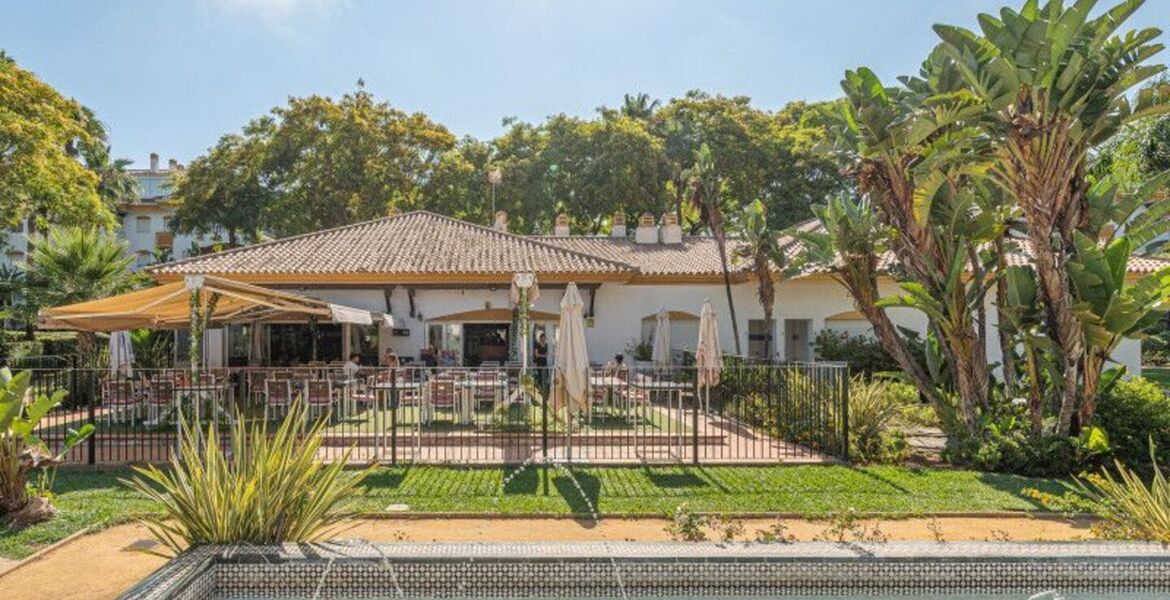 Penthouse de luxe à Nueva Andalucia