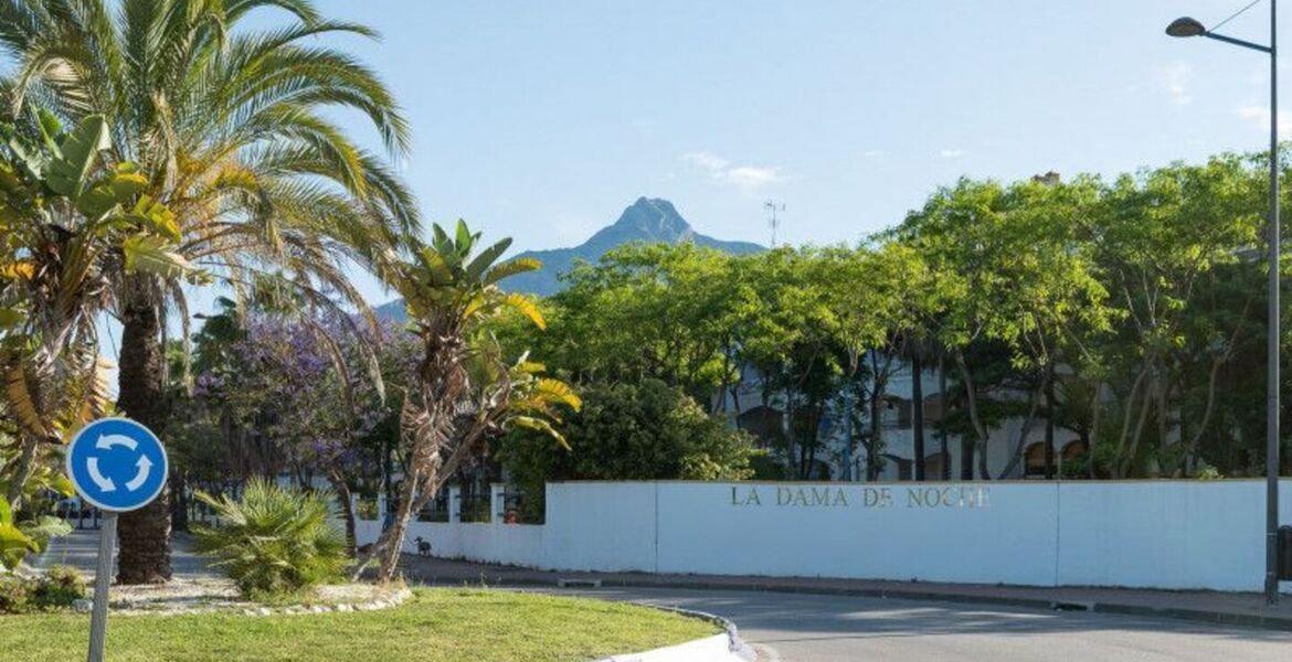 Penthouse de luxe à Nueva Andalucia