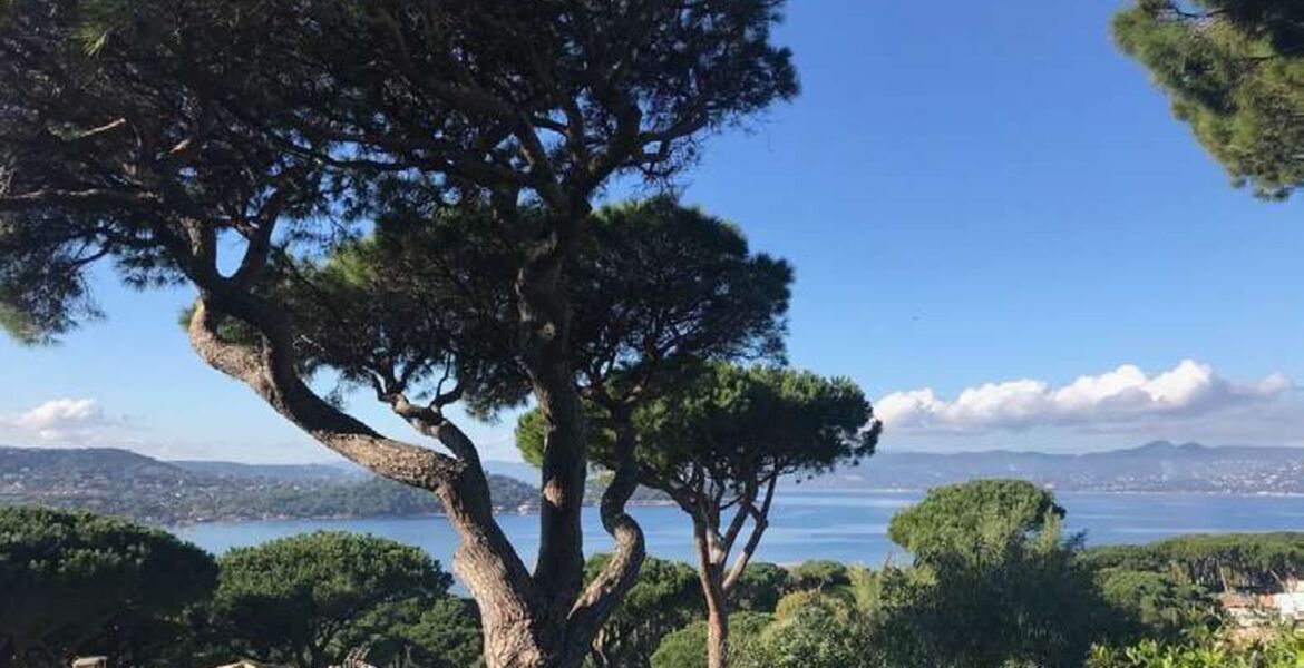 Villa de lujo en Saint Tropez