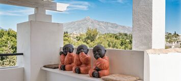 Penthouse for rent in Nueva Andalucia Marbella