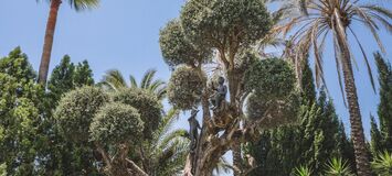 Villa de lujo en alquiler en la Milla de Oro de Marbella