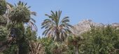 Villa de lujo en alquiler en la Milla de Oro de Marbella