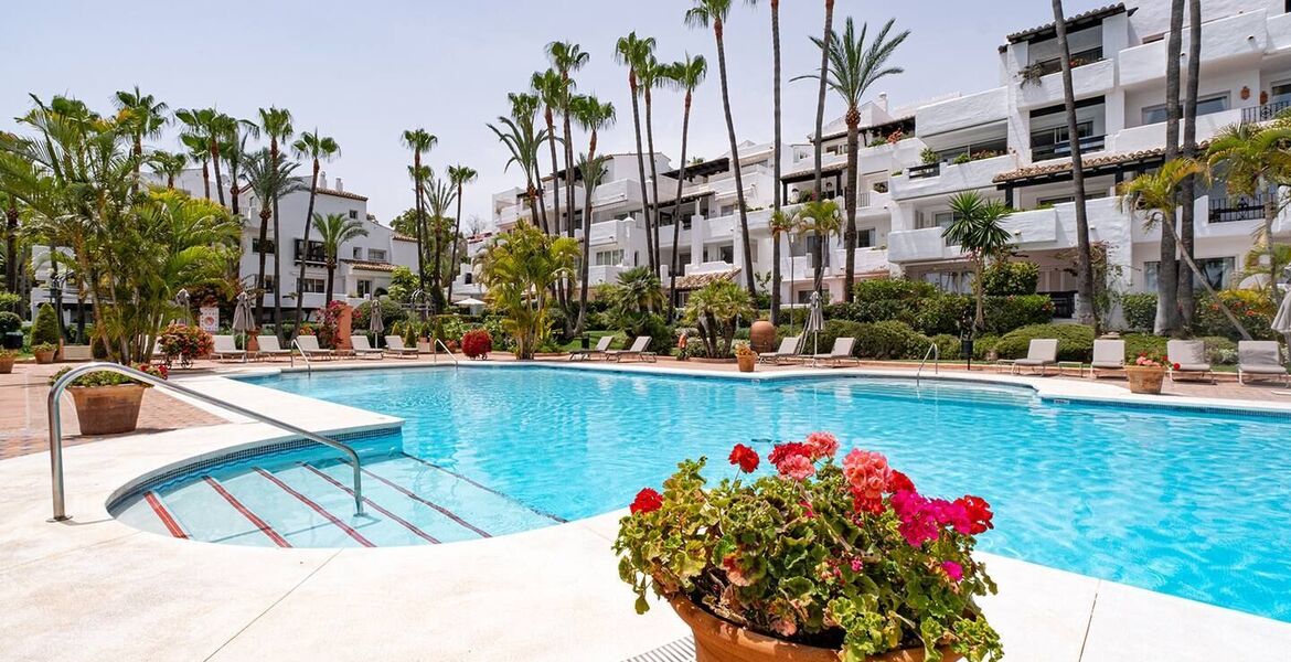 Apartment for rent in Marina Puente Romano