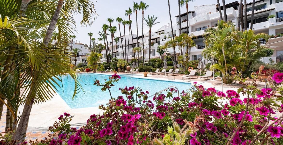 Apartment for rent in Marina Puente Romano