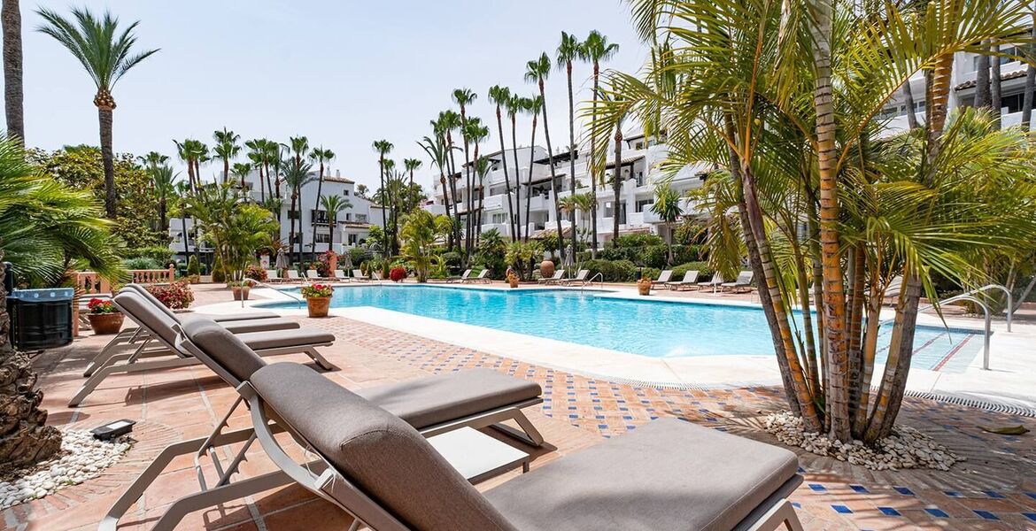 Apartment for rent in Marina Puente Romano