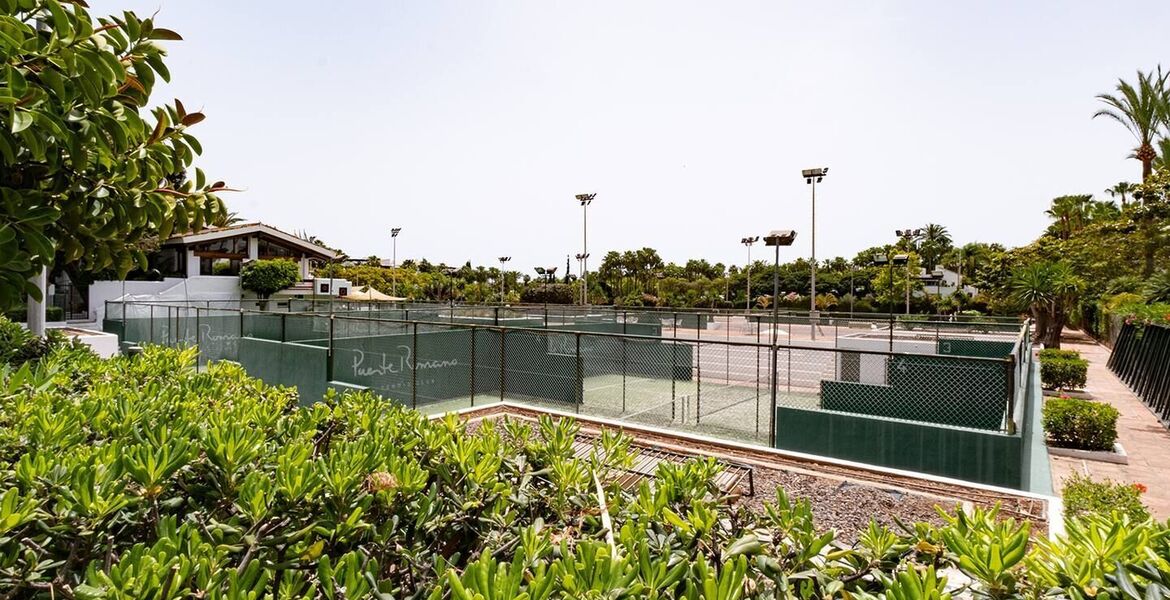 Apartment for rent in Marina Puente Romano