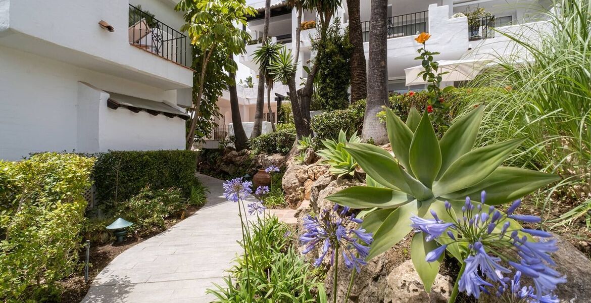 Apartment for rent in Marina Puente Romano