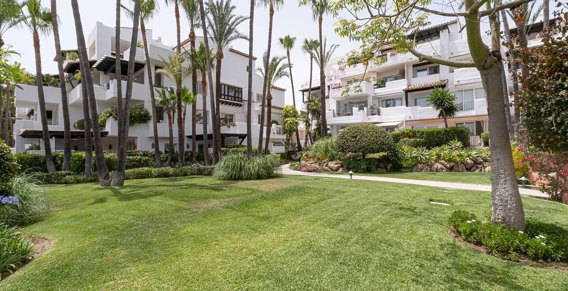 Apartment for rent in Marina Puente Romano