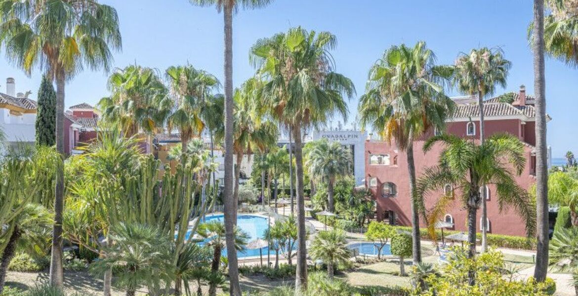 Apartment for rent in Golden Mile