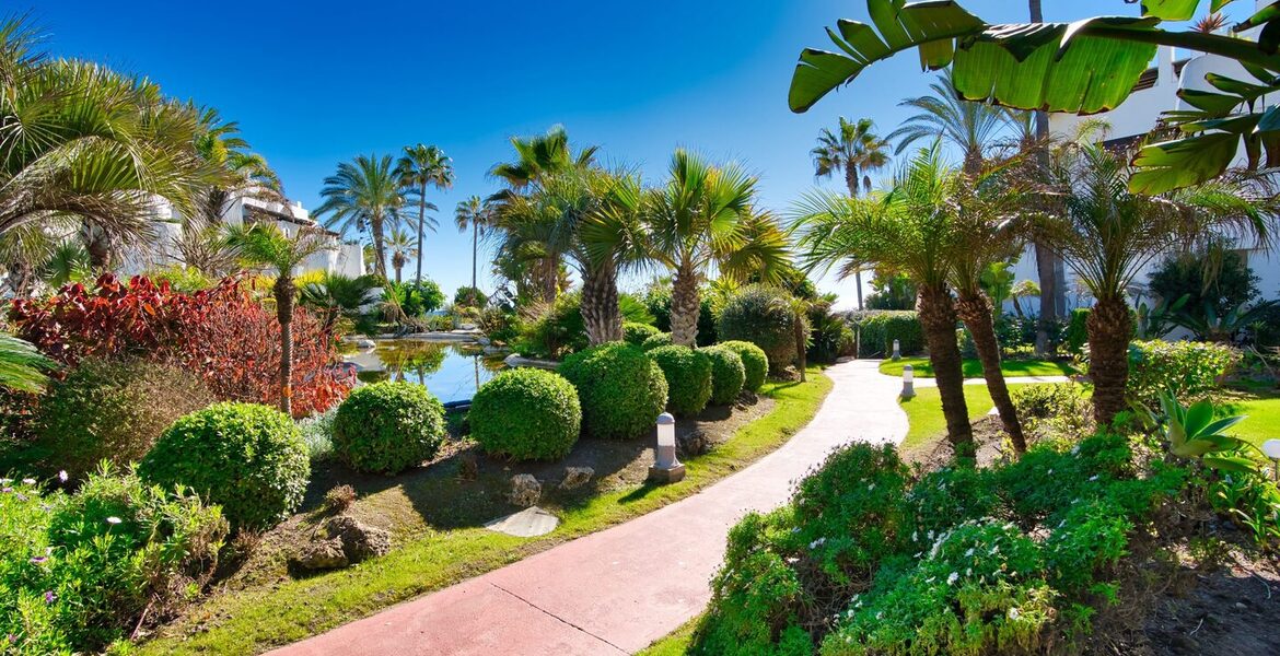 Apartamento en alquiler en Ventura del Mar Puerto Banús