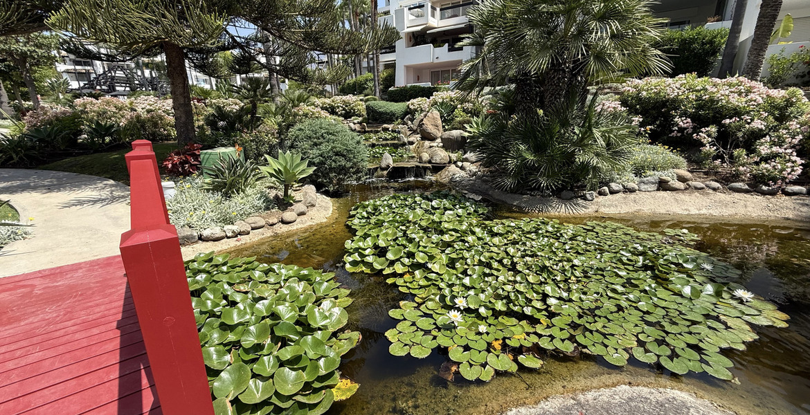 Apartamento en alquiler Marina Puente Romano