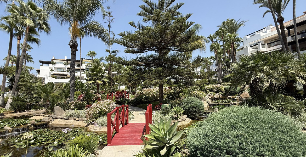 Apartamento en alquiler Marina Puente Romano