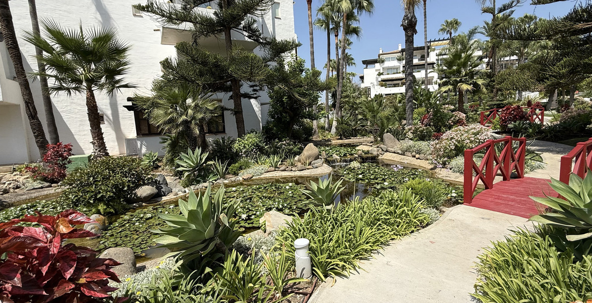 Apartamento en alquiler Marina Puente Romano