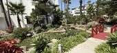 Apartamento en alquiler Marina Puente Romano