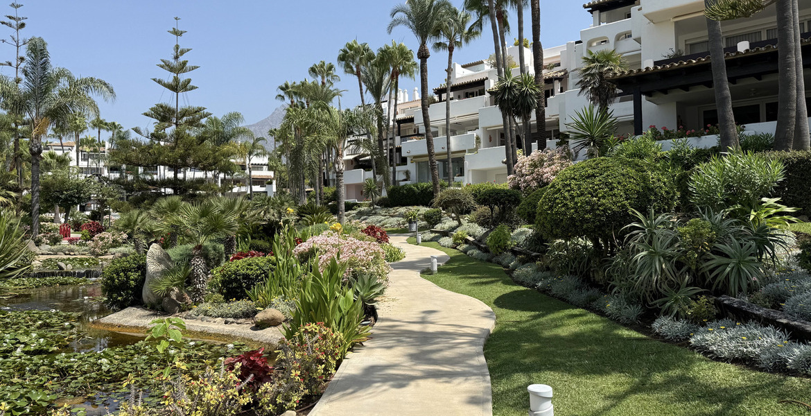 Apartamento en alquiler Marina Puente Romano
