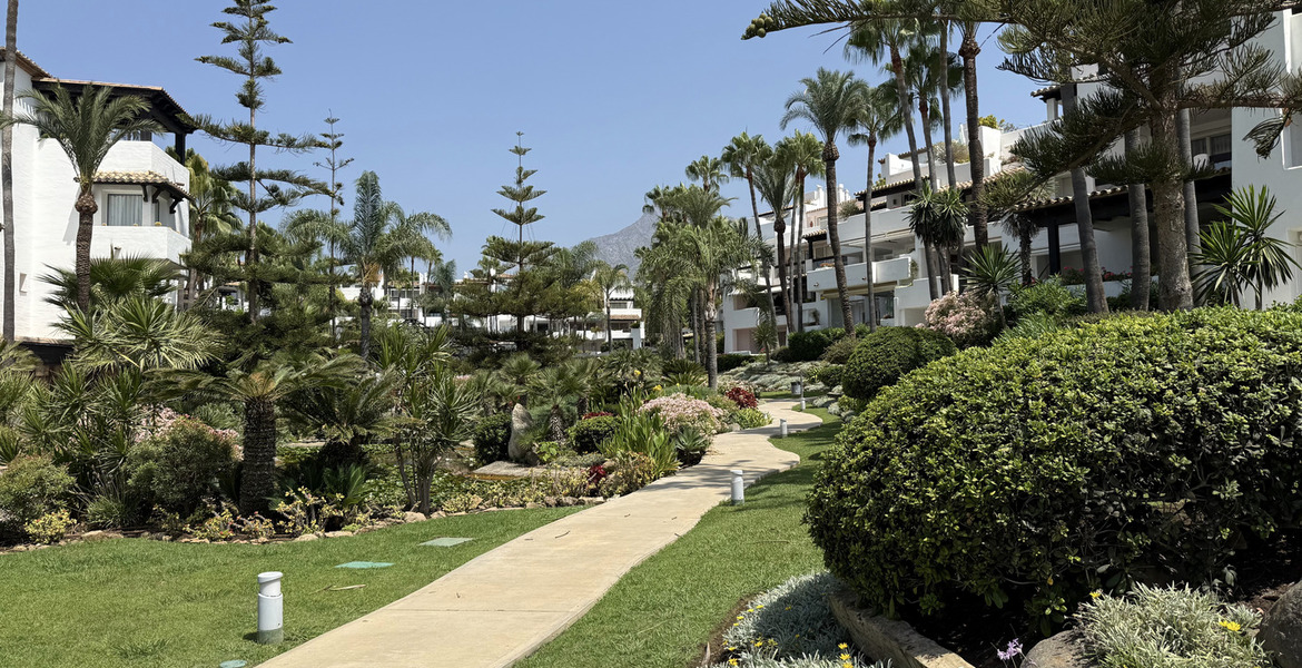 Apartamento en alquiler Marina Puente Romano